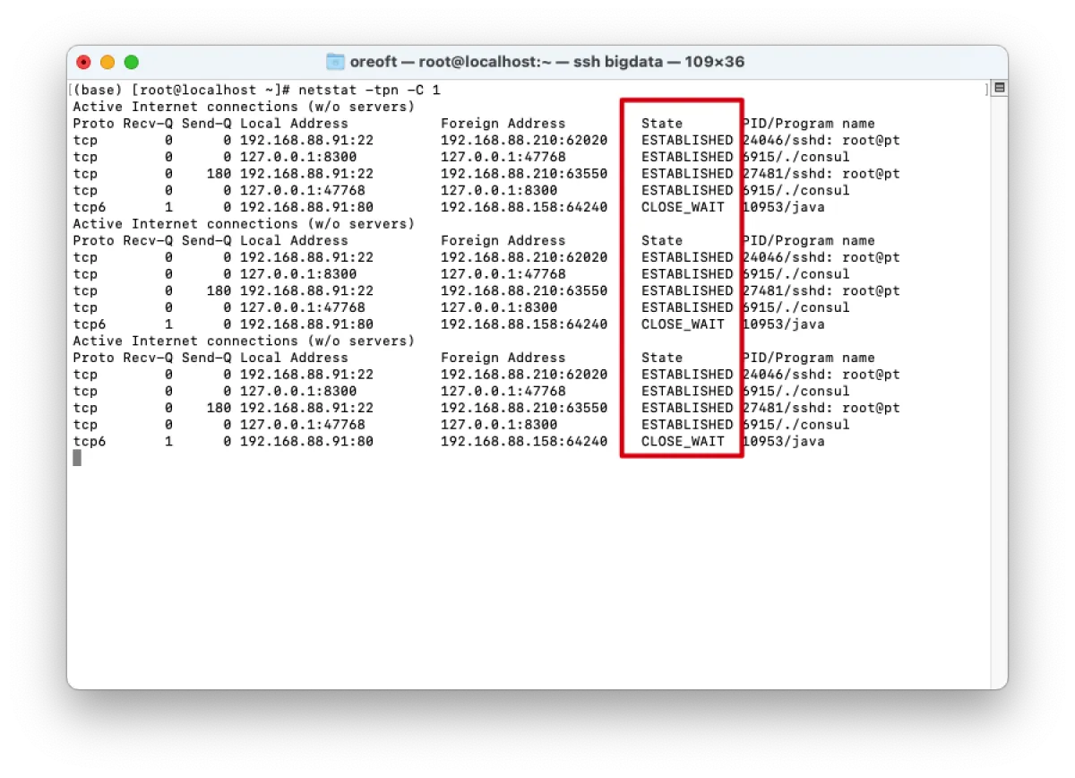 image-20210320175445086