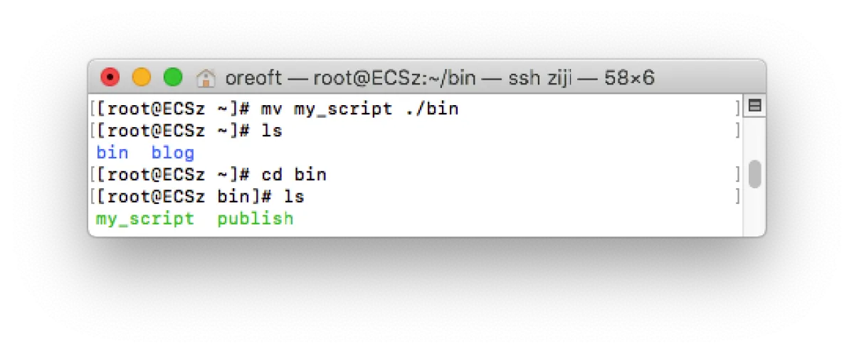 image-20210601203046457